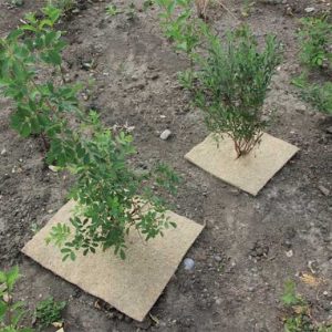 Terrafibre Hemp Weed Suppression, Weed control, moisture control