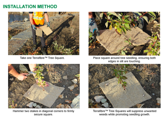 Tree Square Instructions