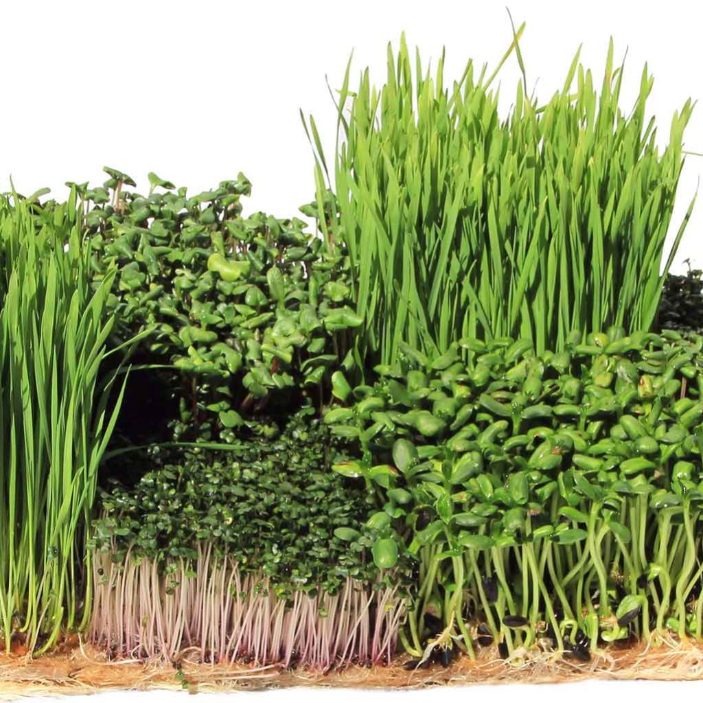 Terrafibre Hemp Products