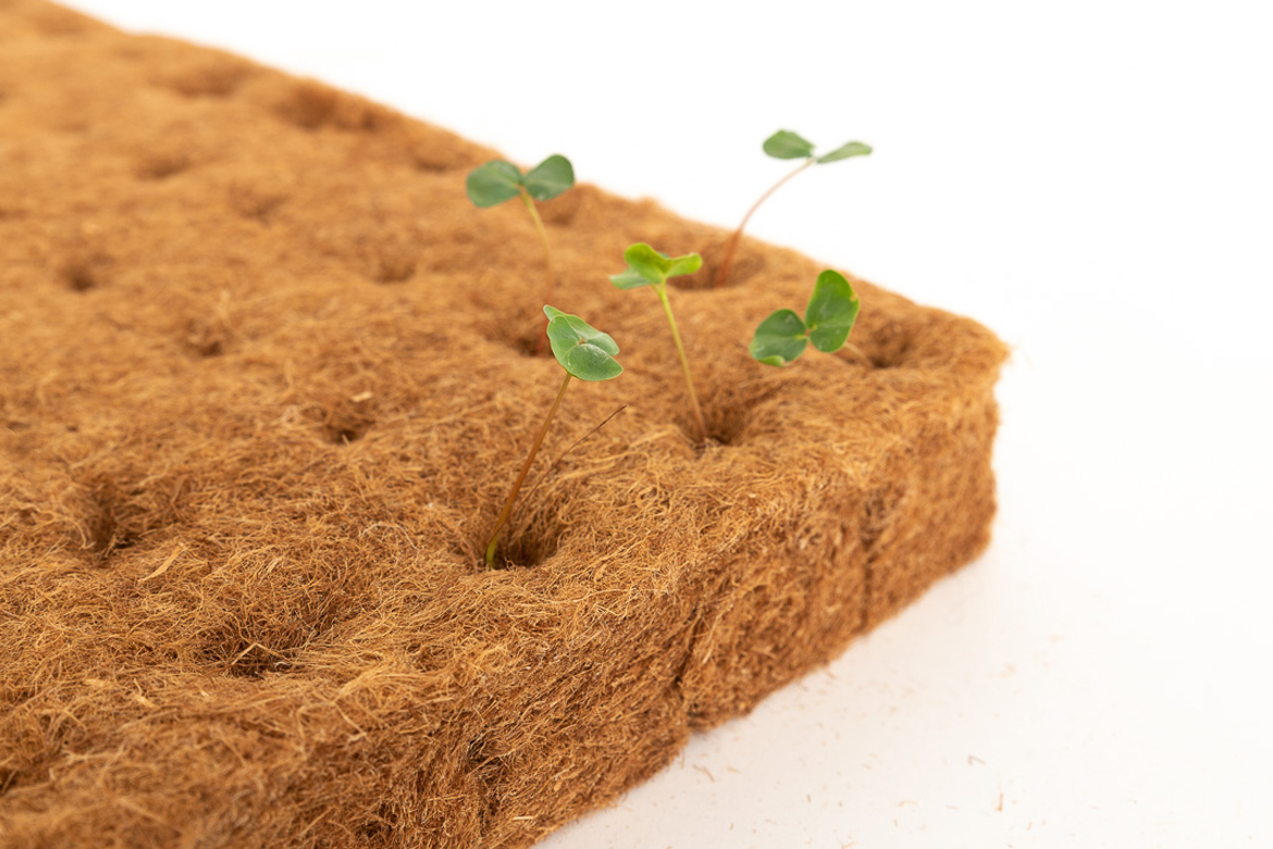 Kweekblokjes-klein-2