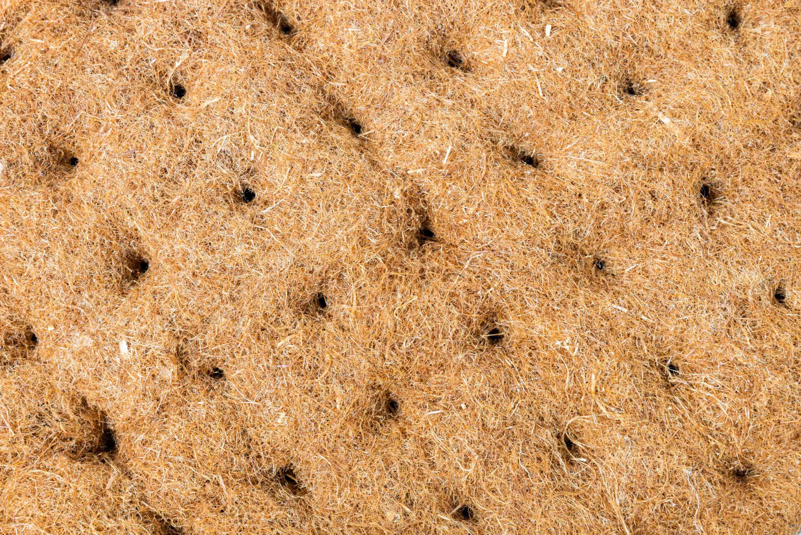 Kweekblokjes-klein-3-scaled