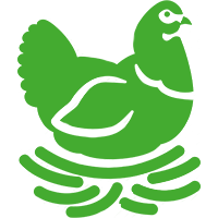 chicken nest chicken nest