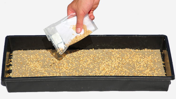 10” x 20” Terrafibre Hemp Grow Mats - Image 3