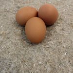 Hemp Poultry Nesting Mat