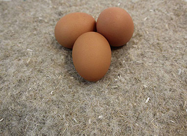 Hemp Poultry Nesting Mat