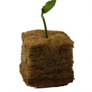 Natural Fibre Growing Cubes