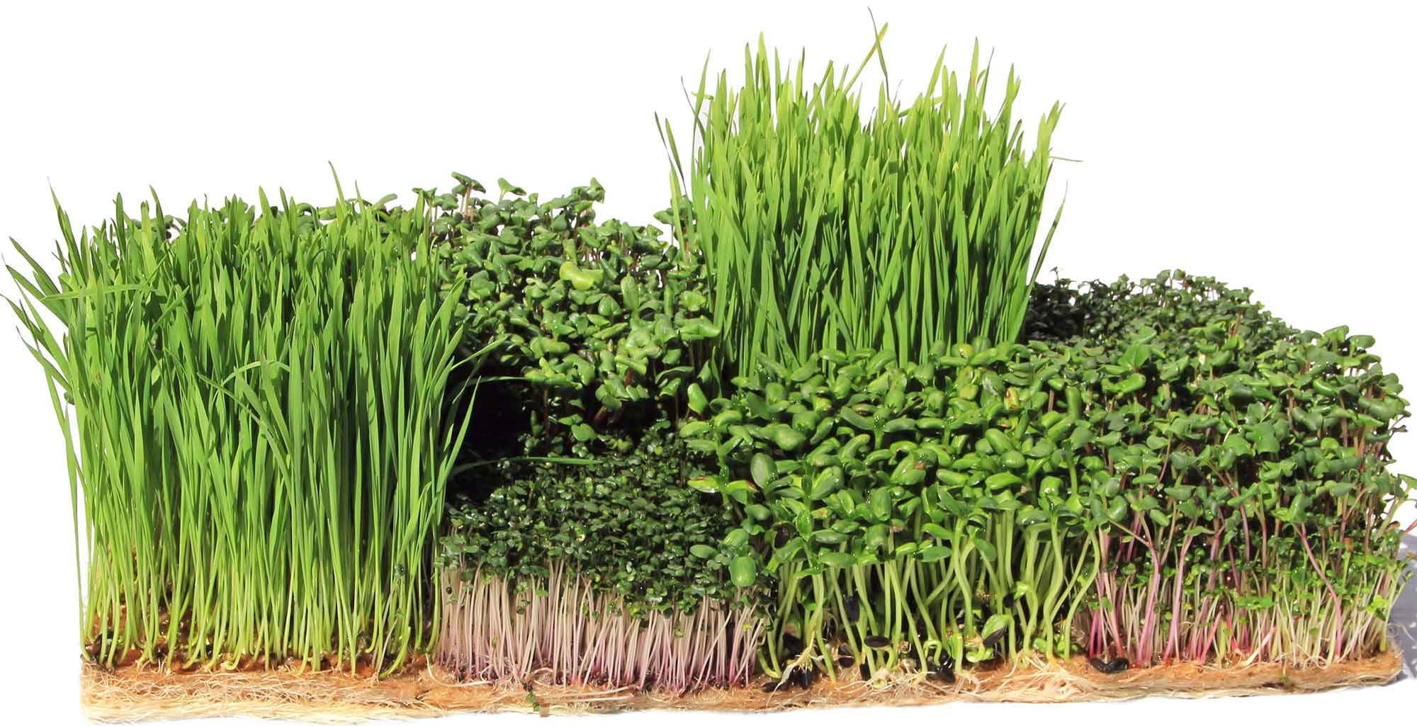 Terrafibre Hemp Products