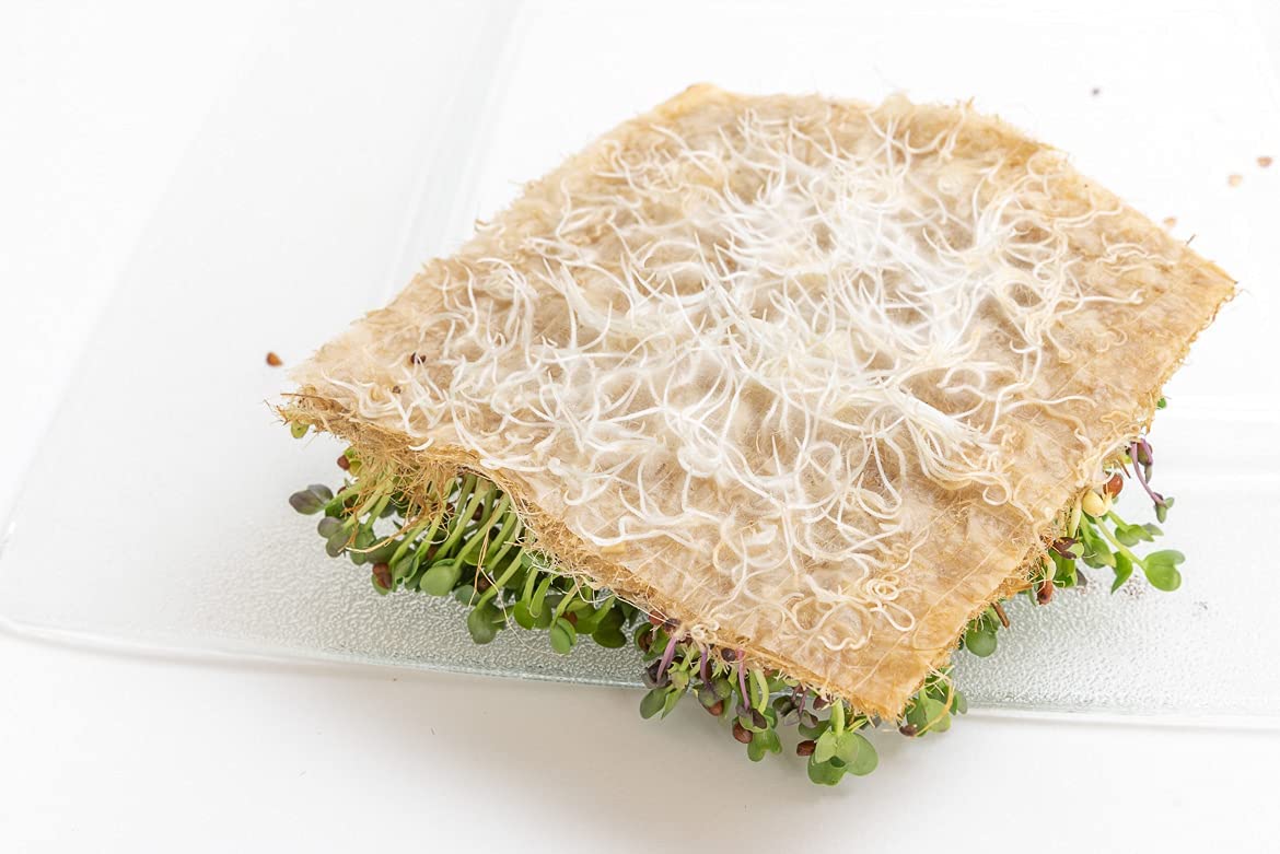 Terrafibre Hemp Growing Cubes