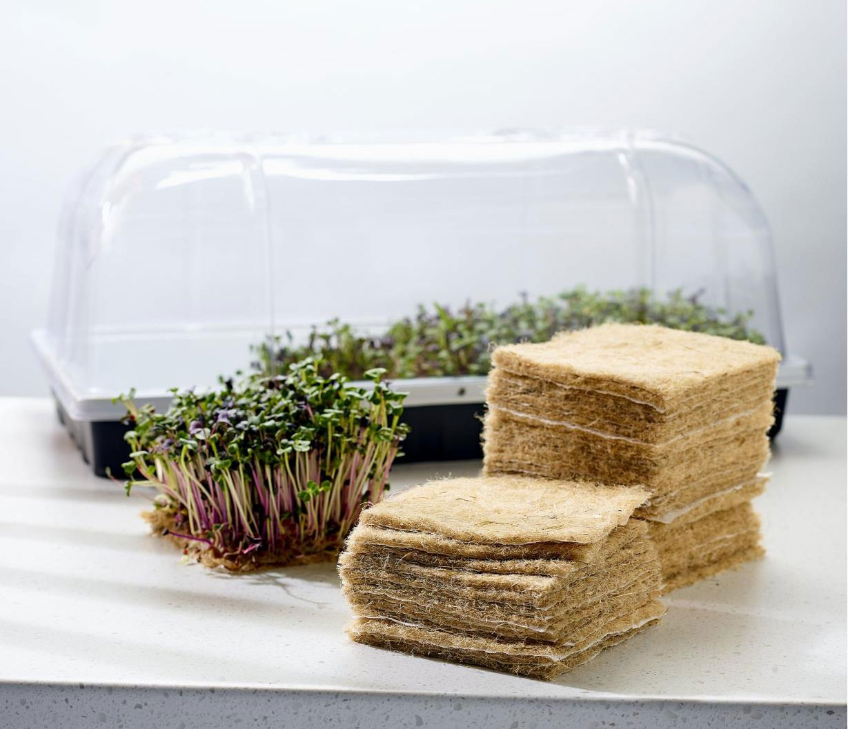 Terrafibre Hemp Growing Cubes Microgreens
